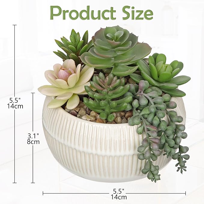 DILATATA Artificial Succulent Plants in Pot 5.5 Inch Fake Succulents Arrangement Potted Plant in White Ceramic Planter Bowl for Home Office Desk Shelf Living Room Bedroom Bathroom Decor