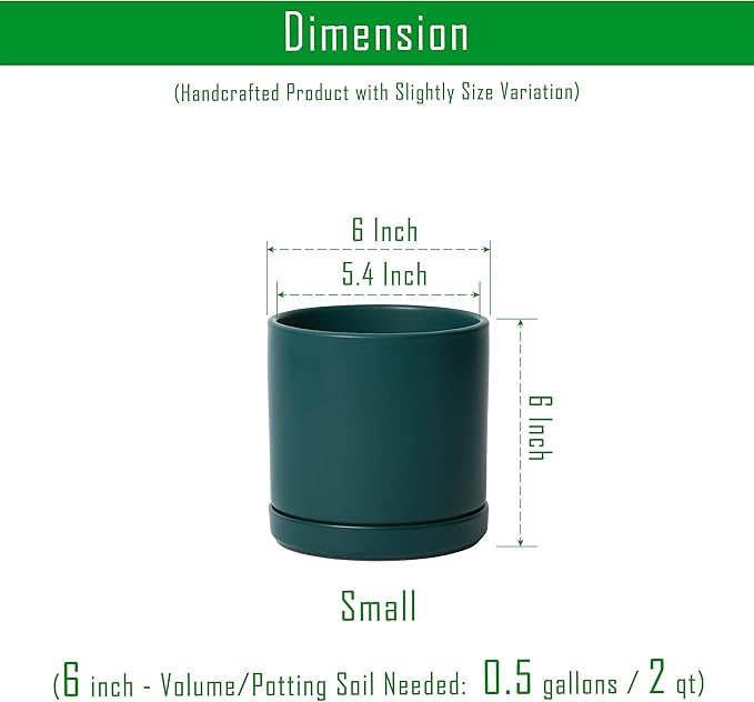 D'vine Dev Set of 2 Plants Pots, 6 Inch Ceramic Planter Pot for Plants with Drainage Hole and Saucer, Teal, 94-V-C-9