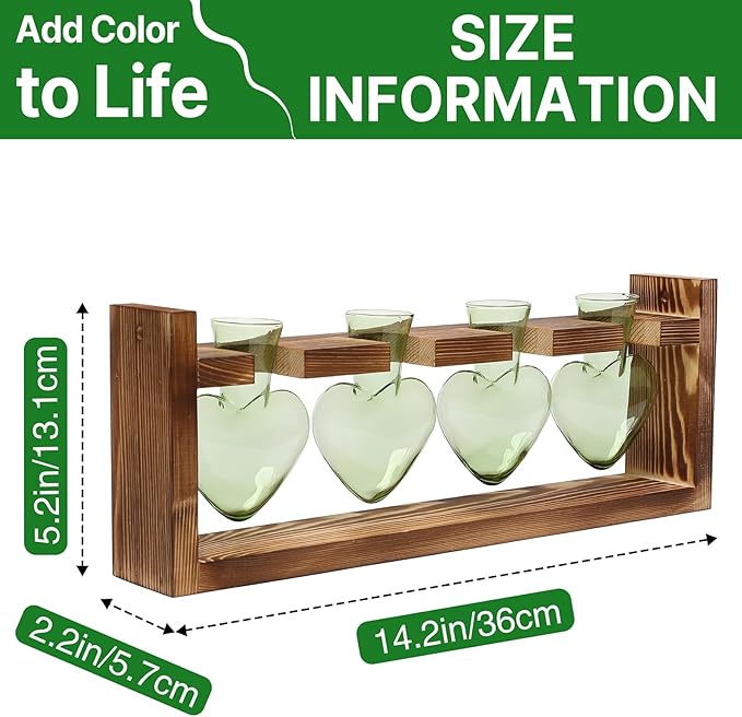 Plant Propagation Stations Heart Plant Terrarium Kit Gift for Women Plant Lover Glass Vases