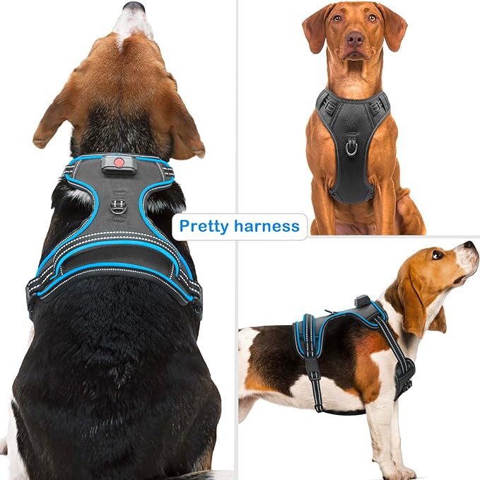 Light Up Dog Harness, No Pull LED Dog Harness with Handle, Rechargeable Lighted Safety Vest for Small Medium Large Dogs, Adjustable Soft Dog Lights for Night Walking