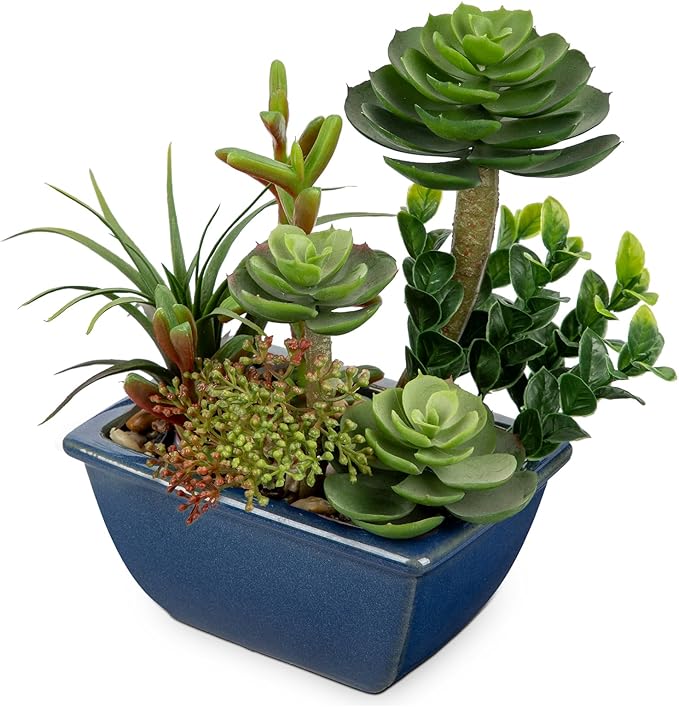 Small Faux Plant Assorted Fake Succulents Plants with Glazed Ceramic Pot Faux Succulents Arrangement Cement Potted Desk Plants Small Fake Plants for Home Table Office Bathroom Shelf Living Room Decor