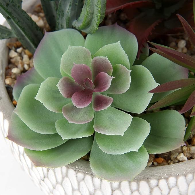 Briful Small Fake Plants Assorted Faux Succulents in Pots Realistic Succulents Plants Artificial with Cement Pots for Home Table Office Desk Bathroom Shelf Living Room Decor