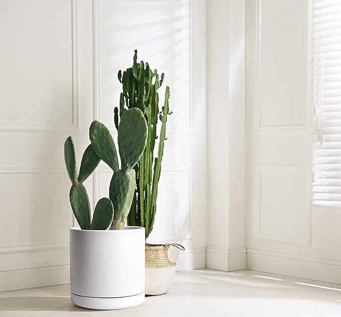 D'vine Dev 12 Inch Ceramic Planter Pot with Drainage Hole and Saucer, Indoor Cylinder Round Planter Pot, White, 94-O-F-1