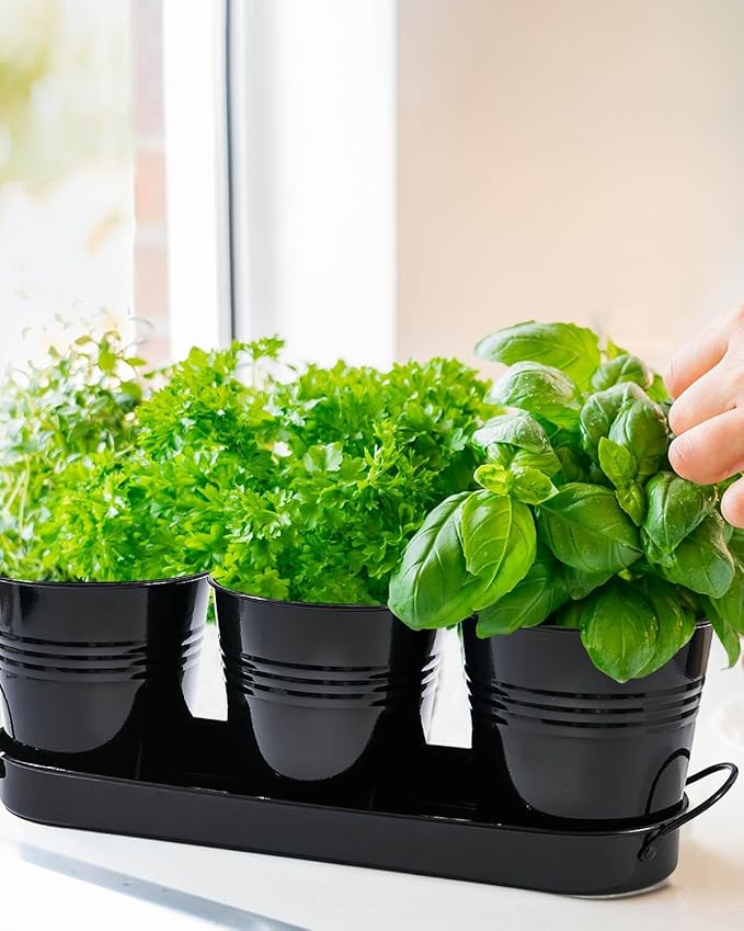 vensovo Indoor Herb Planter Set - Galvanized Windowsill Garden Pots with Tray & Drainage, Set of 3 Metal Window Planters for Kitchen & Outdoor Use, Black