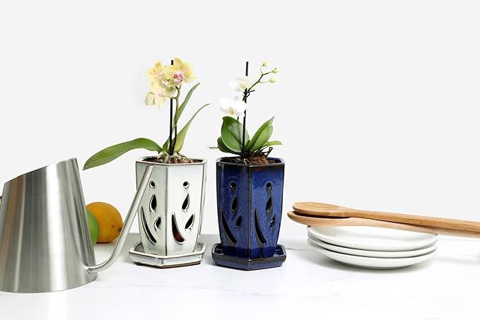 rePotme 4 x 6 inch Ceramic Orchid Pot (Cream Over Lavender) - Hexagon Orchid Pot with Holes