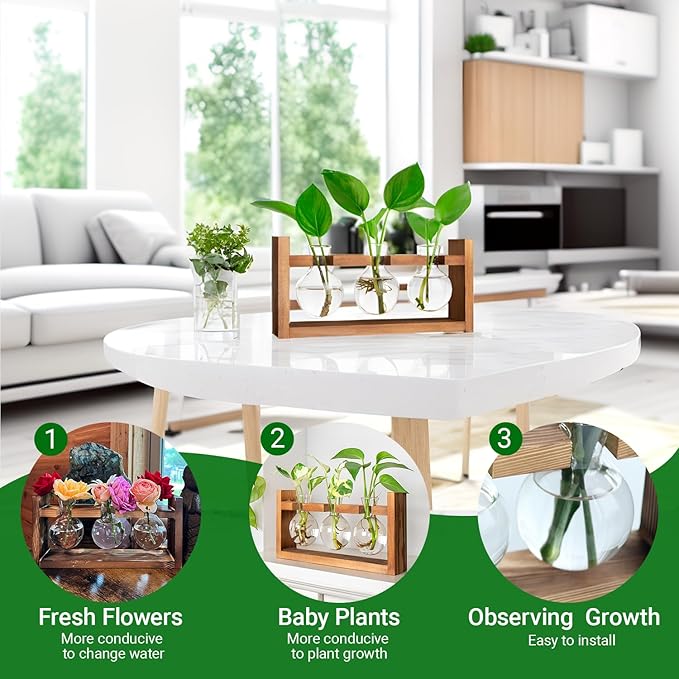 Plant Propagation Station,Plant Terrarium,Plant Starter,Gifts for Plant Lovers,Glass Bulb Terrarium with Retro Solid Wooden Stand for Hydroponics Plants Home Garden Wedding Décor (3 Bulbs)
