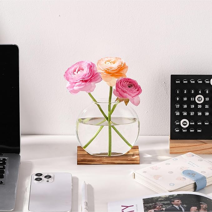 2 Pack Plant Propagation Station with Wooden Base Glass Terrariums for Indoor Plants Decorative Round Vases for Flowers Hydroponic Planter for Home Office Decor