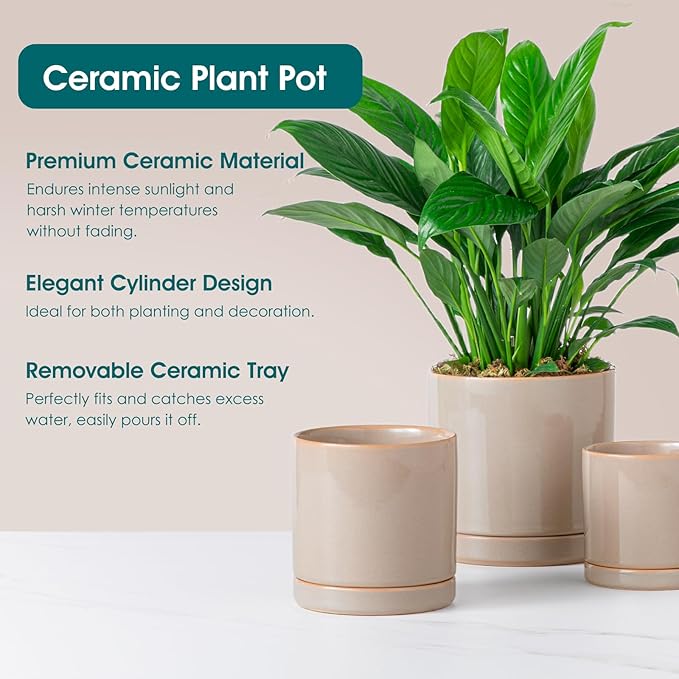 vancasso Ceramic Plant Pots, 3 Piece Planters for Indoor Plants, 4.25+5.25+6.25 Inch Flower Pots with Drainage, Plant Pots Indoor for Succulent, Pothos, Snake Plant and Money Tree, Etc (Gray)