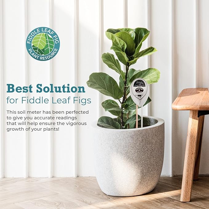 Houseplant Resource Center Fiddle Leaf Fig 3-in-1 Soil Moisture Meter for Plants – Best Indoor Plant Water Meter for Potted Houseplants - Light & Moisture Sensor Probe for Optimal Growth