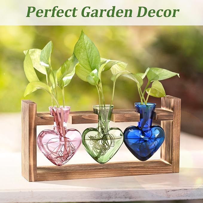 Lifecapido Heart Shaped Propagation Stations, Plant Terrarium with Wooden Stand, Plant Propagation Station for Hydroponics Office Garden Home Decor, Gifts for Women Plant Lover (3 Vases, Multicolor)