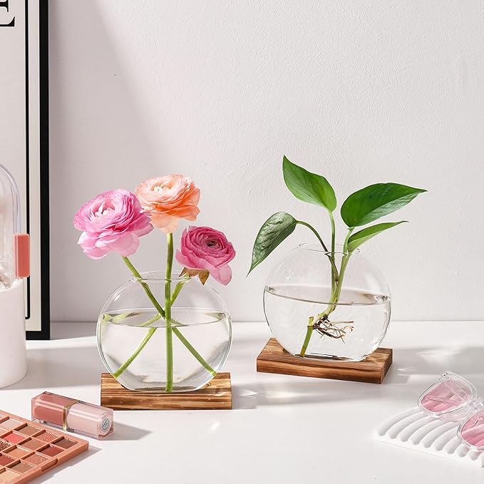 2 Pack Plant Propagation Station with Wooden Base Glass Terrariums for Indoor Plants Decorative Round Vases for Flowers Hydroponic Planter for Home Office Decor