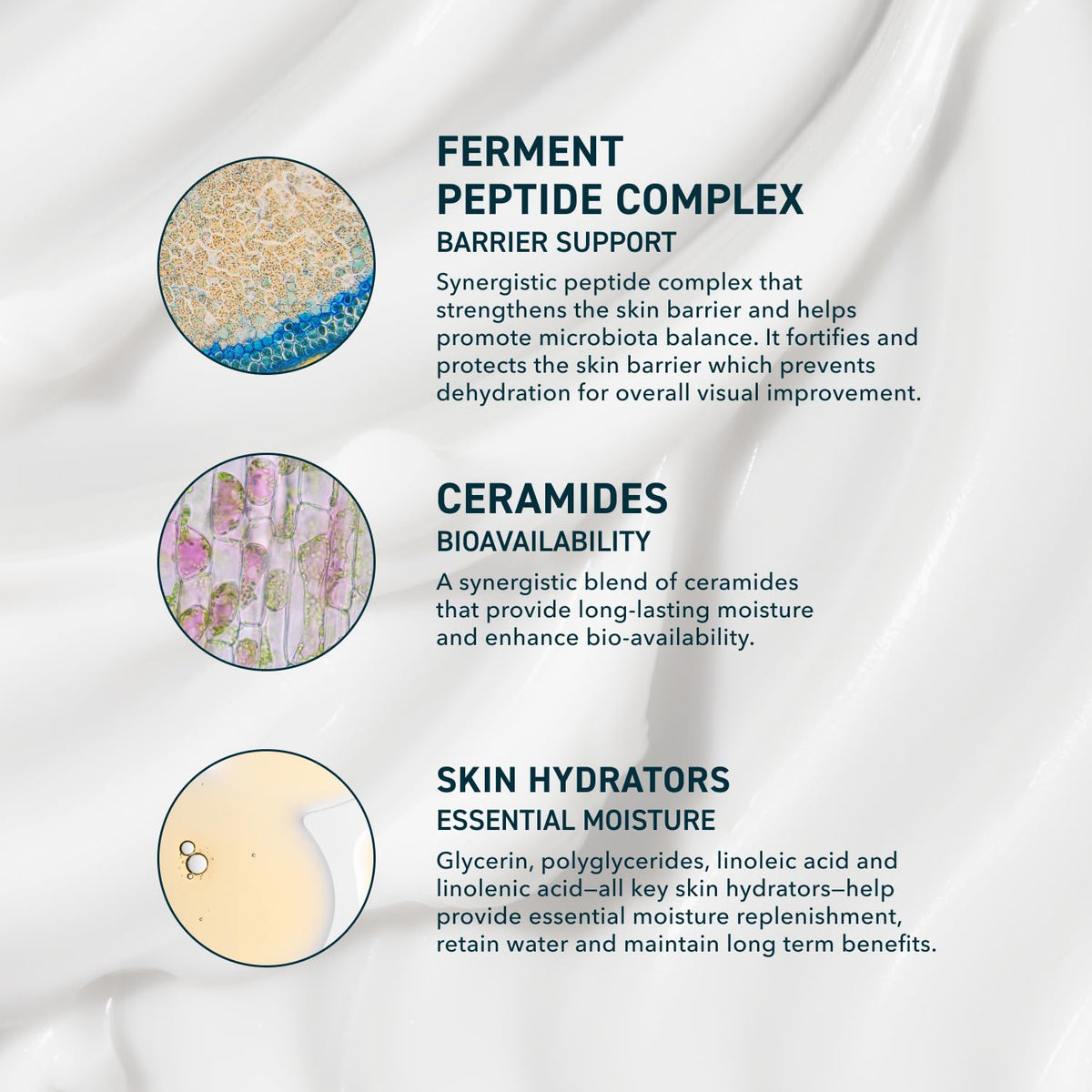 Prequel Skin Face Moisturizer Peptide Cream With Ceramides Glycerin Barrier