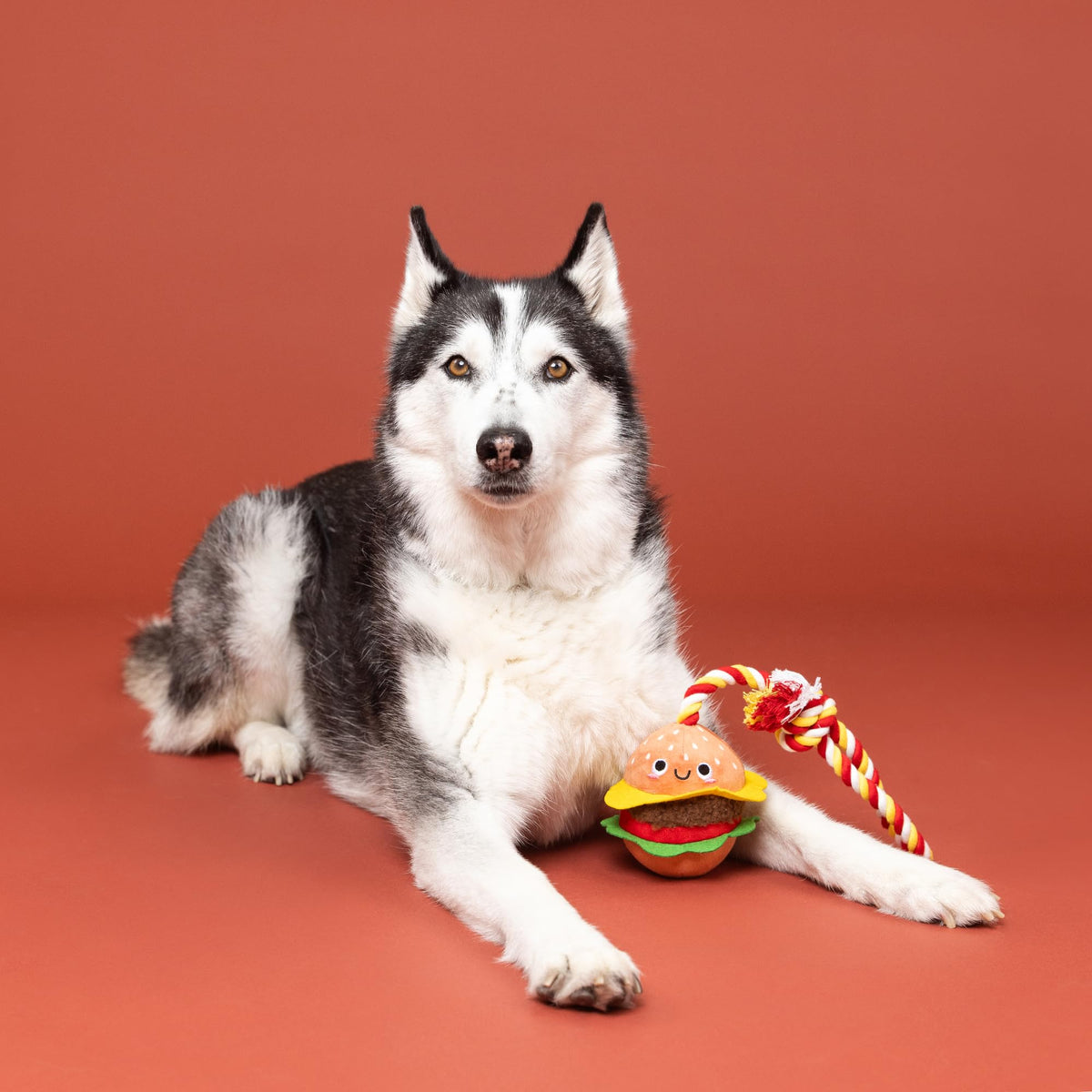 Fringe Studio Plush Dog Toy with Rope, You’RE THE BUN that I Want, Pet Shop Collection (314527)