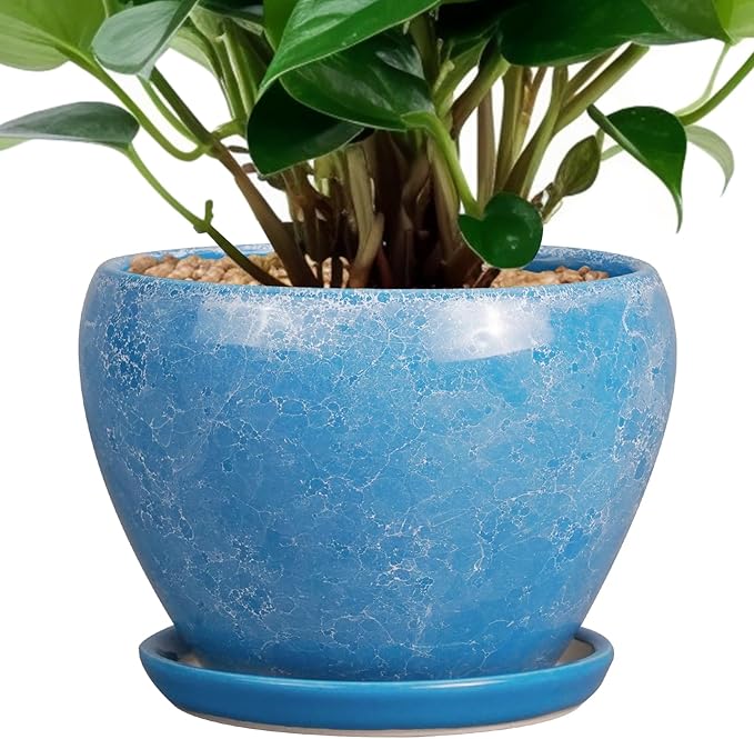 6 Inch Plant Pot - Ceramic Planter Pot with Drainage Hole and Saucer, Glaze Succulent Pot Modern Round Flower Pot for Indoor Plants, Blue