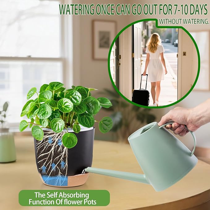 Self Watering Orchid Pots for Indoor Plants,5.8 Inch Macetas para Orqudeas,Flower Pots for Indoor Plants with Holes(Black)
