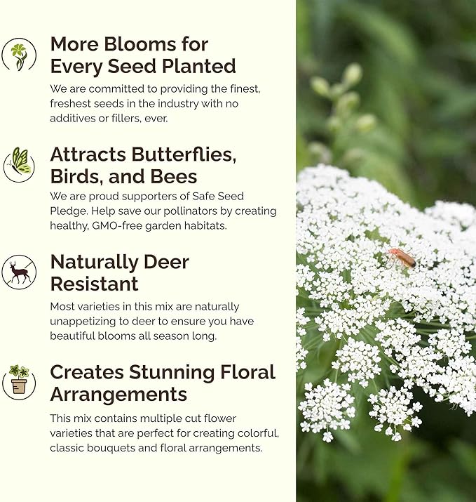 Eden Brothers Moon Garden Flower Mixed Seeds for Planting, 1 oz, 30,000+ Seeds with Cosmos Purity, Bishop's Flower | Attracts Pollinators, Plant in Spring or Fall, Zones 3, 4, 5, 6, 7, 8, 9, 10