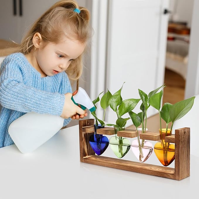 Plant Propagation Stations Heart Plant Terrarium Kit Gift for Women Plant Lover Glass Vases