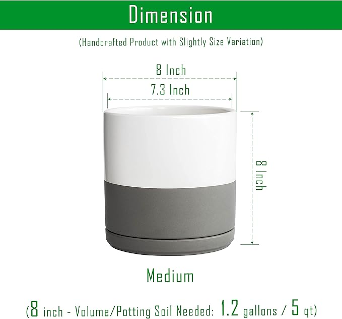 D'vine Dev 8 Inch Ceramic Planter Pot with Drainage Hole and Saucer, Indoor Cylinder Round Planter Pot, White/Speckled Grey, 94-O-D-6