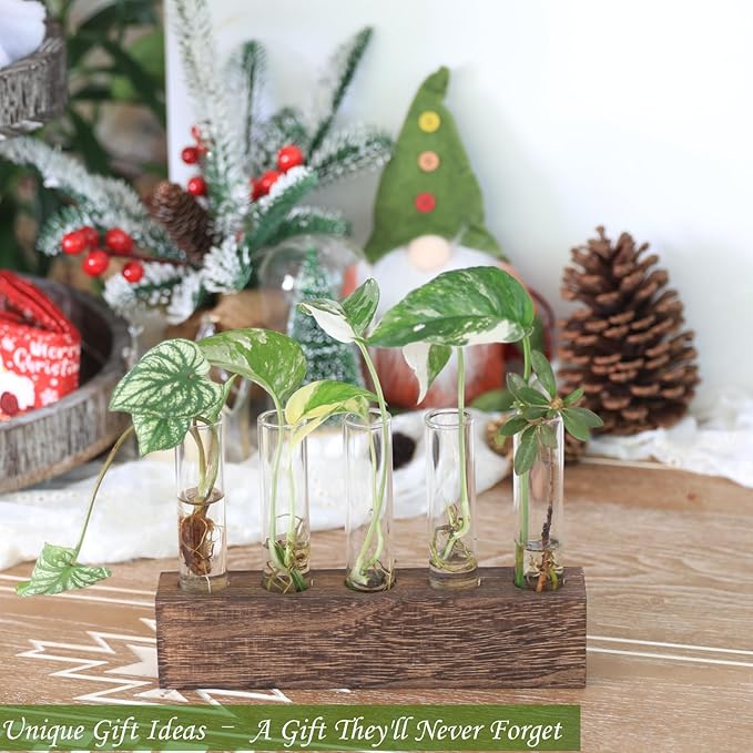 KAXYEW Desktop Glass Plant Propagation Station Test Tube Plant Terrarium in Wooden Stand for Hydroponic Plants Cutting Office Home Decoration Gift for Women (5 Test Tubes-BR)