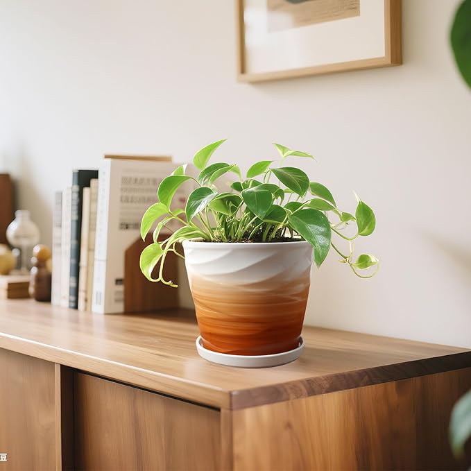 8 Inch Plant Pot, Ceramic Planter with Drainage and Saucer, Ceramic Pots for Plants, Indoor Plant pots, Flower pots，Modern Planter(Khaki + White)
