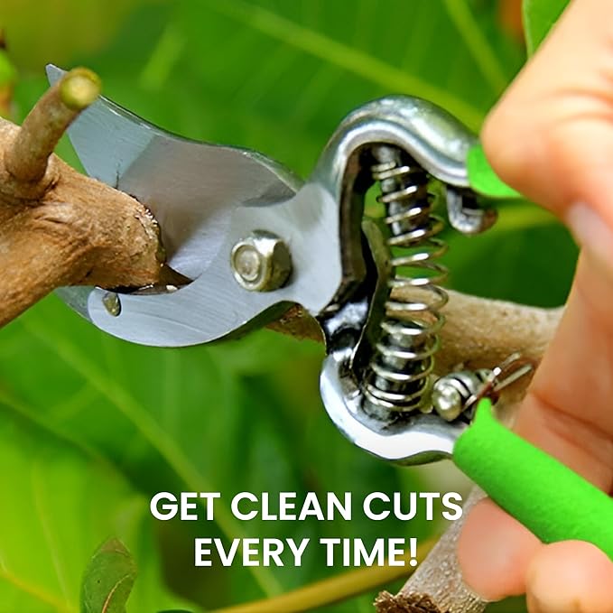 GARDEN GURU Classic Bypass Pruning Shears Clippers – Heavy Duty Forged Steel Garden Pruners – Safety Lock – Non Slip Comfort Grips – Cuts up to 1” Diameter – Professional Bypass Pruners for Gardening