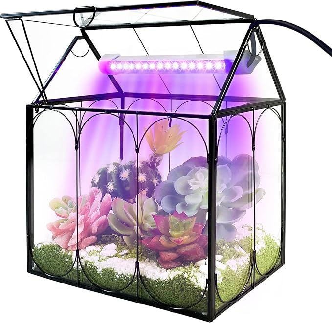 Plant Terrarium Kit with Grow Light, Rifny Large Glass Terrarium Jar with Absorbent Mat and Lid for Venus Fly Trap Succulent Live Air Plants Indoor Home Office Decor (Black, 8.9 x 5.9 x 9.9 inch)