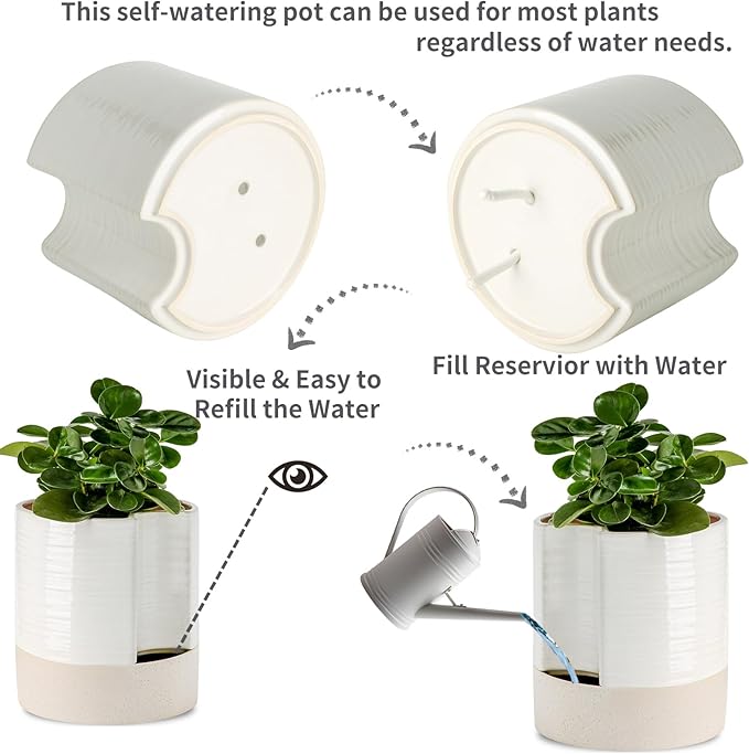 Nihow Self Watering Plant Pot: 8 Inch Ceramic Planter with Drainage Hole & Water Storage Plus for Indoor & Outdoor Plants - Cylinder Round Flower Pot for Succulent/Herbs/Violets - Cream White & Brown