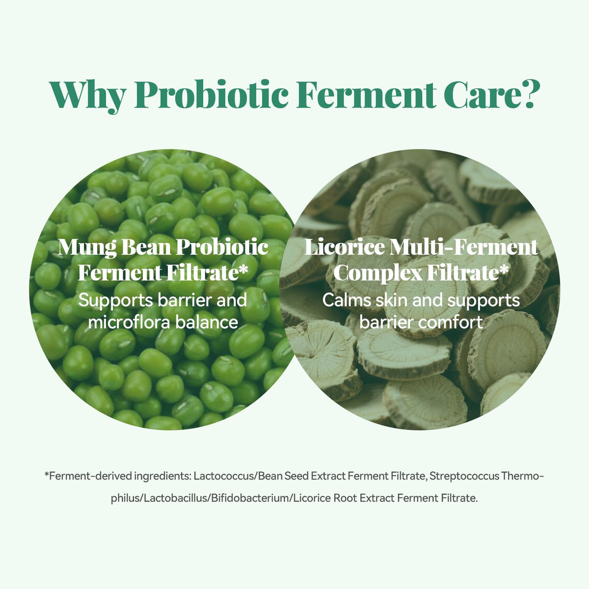 ANAI RUI Mung Bean & Probiotics Clay Mask, 4.23oz