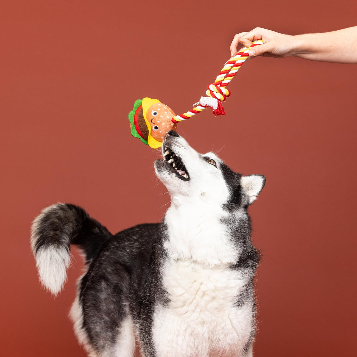 Fringe Studio Plush Dog Toy with Rope, You’RE THE BUN that I Want, Pet Shop Collection (314527)