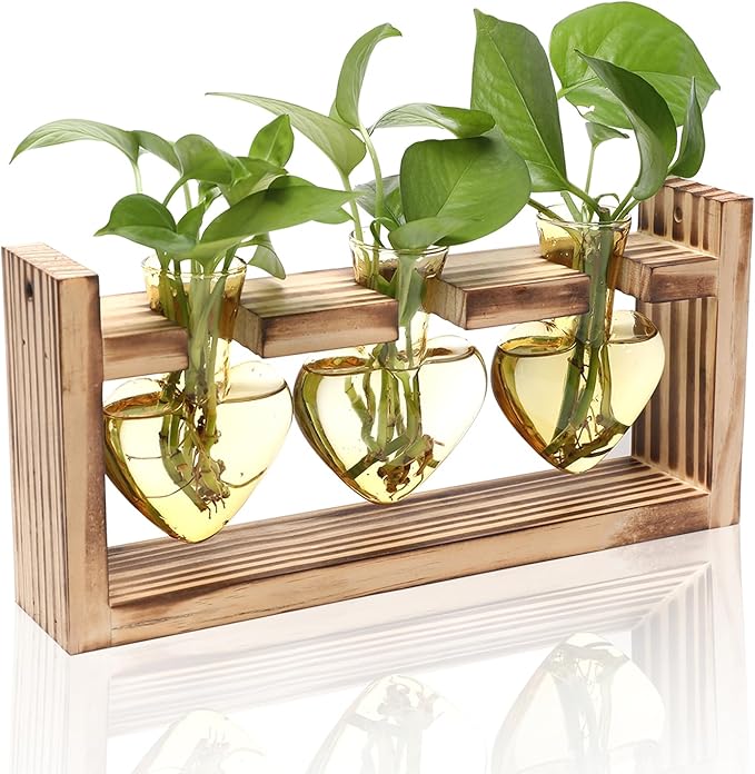 Plant Terrarium Propagation Stations Hydroponics Home Garden Decoration Gift for Women with Wooden Stand Heart Shaped Colored Glass Vase