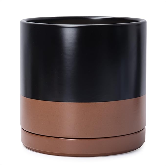 D'vine Dev 12 Inch Ceramic Planter Pot with Drainage Hole and Saucer, Indoor Cylinder Round Planter Pot, Black/Speckled Tan, 94-O-F-7