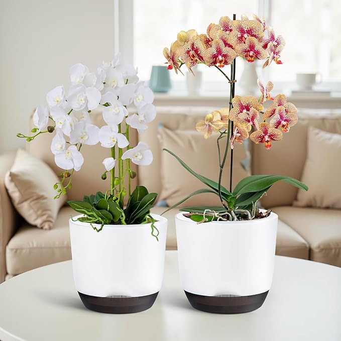 QCQHDU 2 Pack Orchid Pots with Holes for Repotting, Double-Layer and Self Watering Orchid Pot with Good Air Circulation