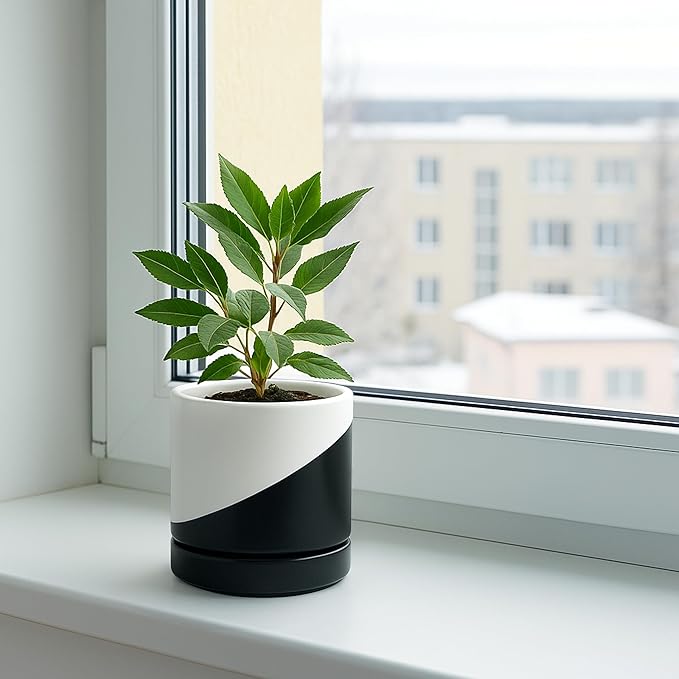 D'vine Dev 4.6 Inch Ceramic Planter Pot with Drainage Hole and Saucer, Indoor Cylinder Round Planter Pot, Oblique Monochrome Black and White, 94-O-B-K