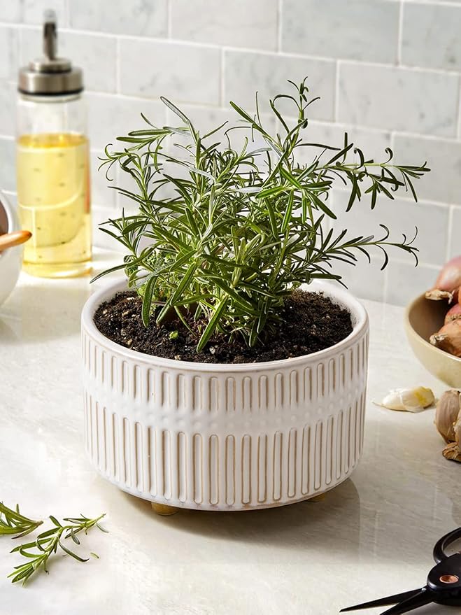LE TAUCI Succulent Pots, 6.5+8 Inch Ceramic Indoor Plant Pot with Drainage Hole, Modern Round Decorative Flower Pot, Set of 2, Reactive Glaze White