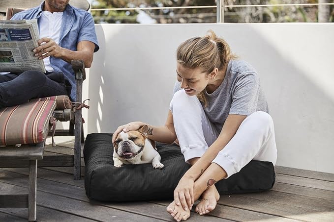 K9 Ballistics Tough Rectangle Pillow Medium Dog Bed - Removable Cover, Washable, Durable & Water Resistant Dog Bed Made for Medium Dogs 33"x27" Blue Quartz