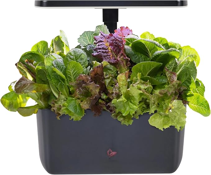 AeroGarden Harvest 2.0, Indoor Garden Hydroponic System with LED Grow Light, Holds up to 6 AeroGarden Pods, Charcoal
