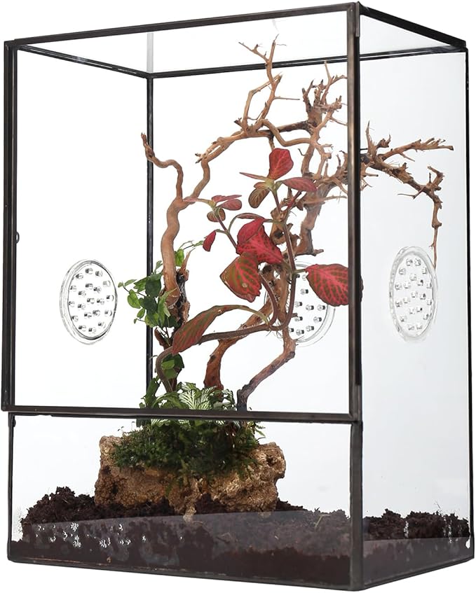 NCYP Glass Terrarium with Front Opening Door and 3 Vents for Insects, Snail, Spider, Glass Enclosure - 8"x4.5"x10" Clear Closed Plant Greenhouse Box (Terrarium Only)