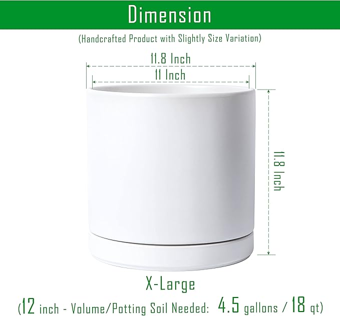 D'vine Dev 12 Inch Ceramic Planter Pot with Drainage Hole and Saucer, Indoor Cylinder Round Planter Pot, White, 94-O-F-1
