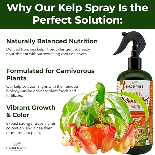 100% Organic Marina Mist Carnivorous Plant Food | Liquid Kelp Foliar Spray for Plants - Kelp Fertilizer for Venus Flytraps, Sundew, Butterworts, Pitcher Plants 8 Oz