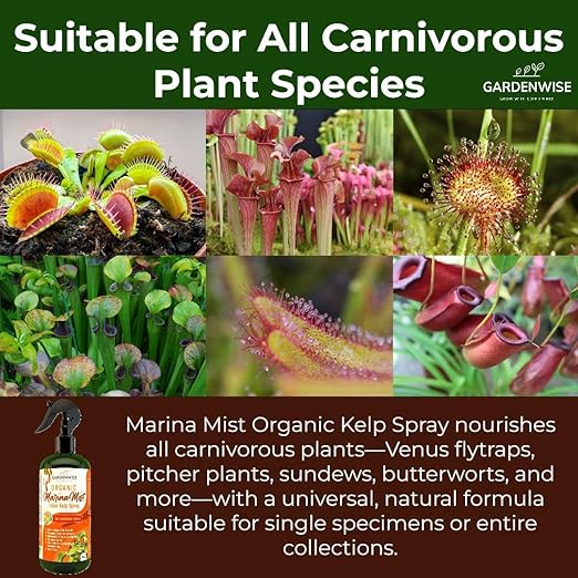 100% Organic Marina Mist Carnivorous Plant Food | Liquid Kelp Foliar Spray for Plants - Kelp Fertilizer for Venus Flytraps, Sundew, Butterworts, Pitcher Plants 8 Oz