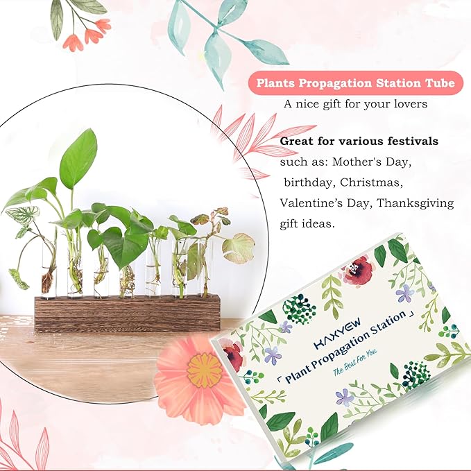KAXYEW Desktop Glass Plant Propagation Station Test Tube Plant Terrarium in Wooden Stand for Hydroponic Plants Cutting Office Home Decoration