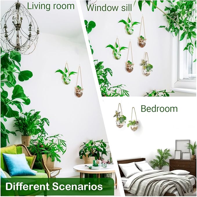 Wall Hanging Glass Planter Air Planter Terrarium Vase Propagation Stations for Hydroponic Plants, Succulent Moss Tillandsias Air Plants Globe,Home Office Garden Decor, Set of 2