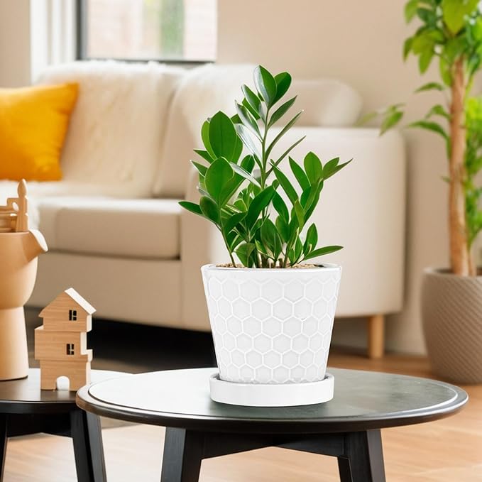 BUYMAX Plant Pots Indoor –6 inch Ceramic Flower Pot with Drainage Hole and Ceramic Tray - Gardening Home Desktop Office Windowsill Decoration Gift, Set of 2(White)