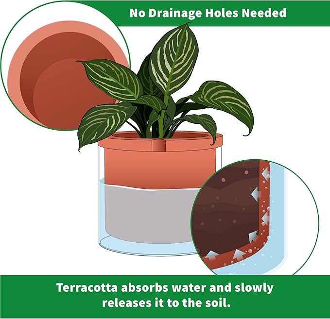 Phoenix Vine 8 Inch Self Watering Planter Pots, Design White Terracotta Pots for Plants, Indoor Cylinder Terra Cotta Pots with Glass Vase, Set of 1, 51-A-H-1