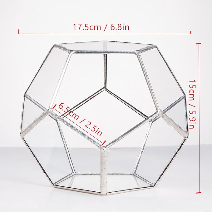 NCYP Small Silver Glass Geometric Terrarium for Succulents Air Plants, 6.89 x 6.89 x 5.9 Inches, Indoor Home Garden Planter Pot, Tabletop Decor Centerpiece, Handmade (Only Terrarium)