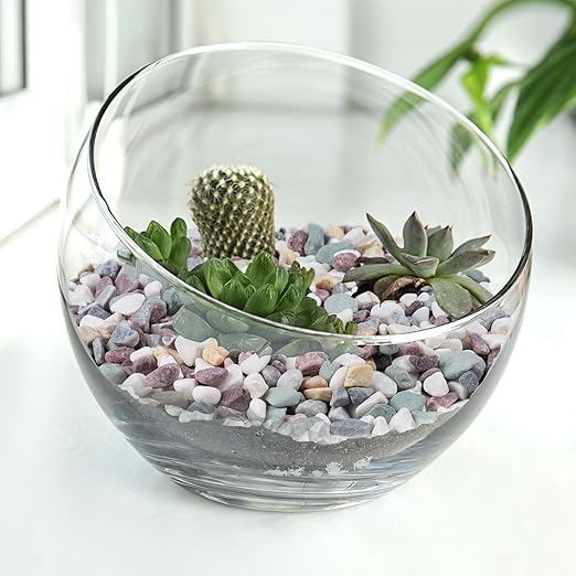 2.5 lbs Pea Gravel for Plants, Aquarium, Fish Tank, 3/8 inch Decorative Pebbles for Indoor Plants, Succulent, Bamboo, Vase, Drainage Rocks for Potted Plants, Top Dressing, Mixed Color