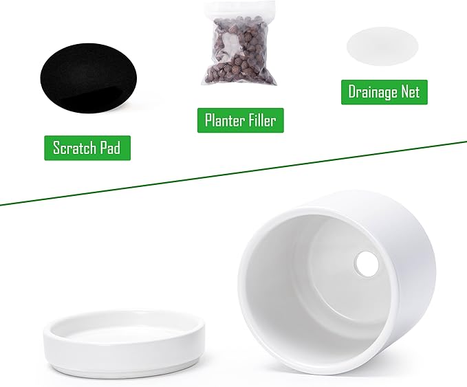 D'vine Dev 3.5 Inch & 4.7 Inch Ceramic Planter Pots for Plants with Drainage Hole and Saucer, X-Small Plant Pots Set, White, 94-G-XS-1