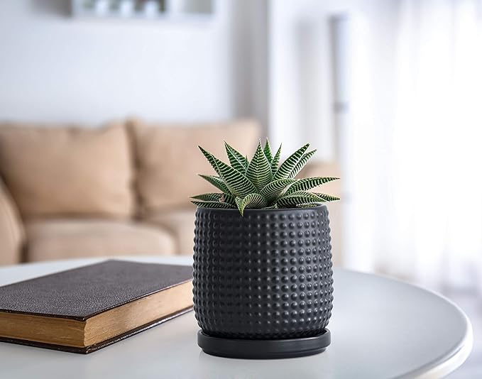 D'vine Dev Set of 2 Ceramic Plants Pots, 4 Inch Beaded Stoneware Flower Pot for Plants with Drainage Hole and Saucer, Ebony Matte, 27-E-Z-6