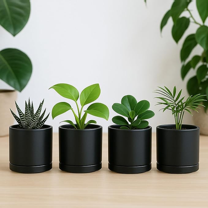 D'vine Dev Set of 4 Small Ceramic Plant Pots, 3.5 Inch Succulent Planter Pot for Plants with Drainage Hole and Saucer, Black, 94-X-A-2