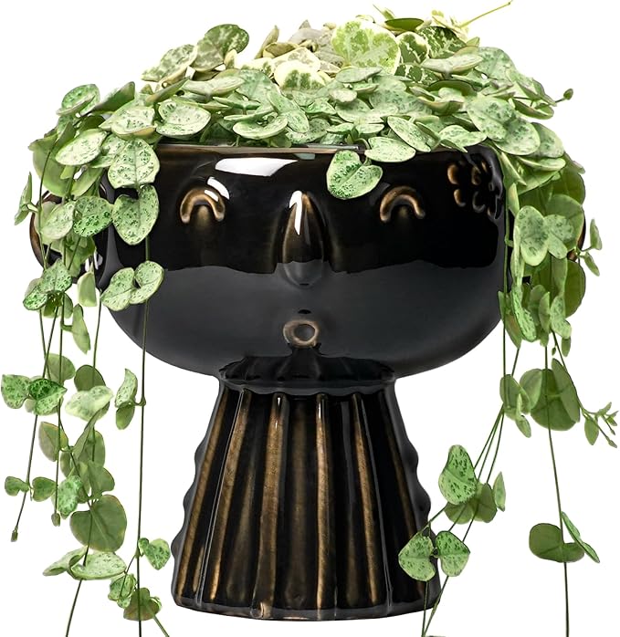Head Planter 7 Inch - Ceramic Face Planters with Drainage Hole, Funny Succulent Pots for Indoor Outdoor, Cute Decorative Plant Pot, Desk Office Room Home Decor, Black